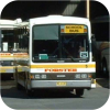 Forster Buslines